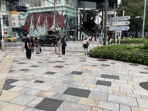 Meiji Jingu Mae Intersection 2